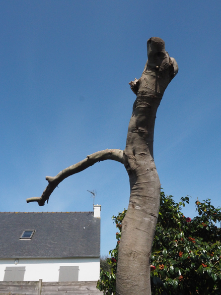 Accueil