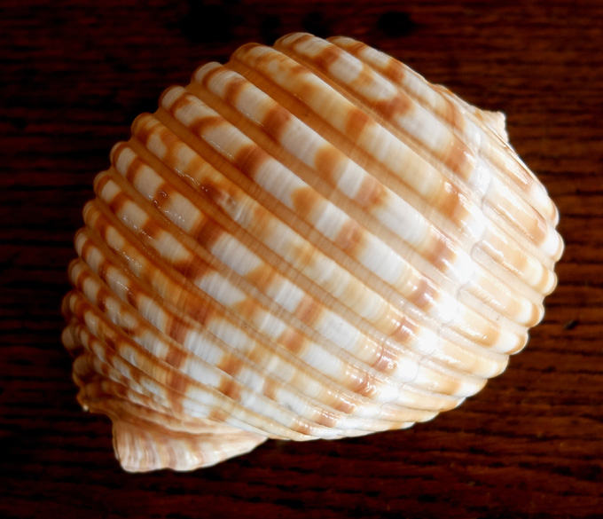 Accueil