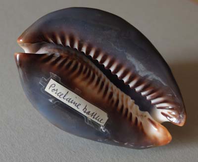 0-coq-03b