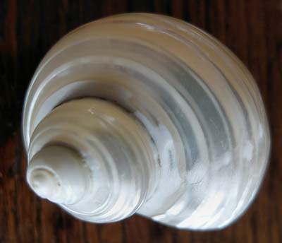0-coq-11