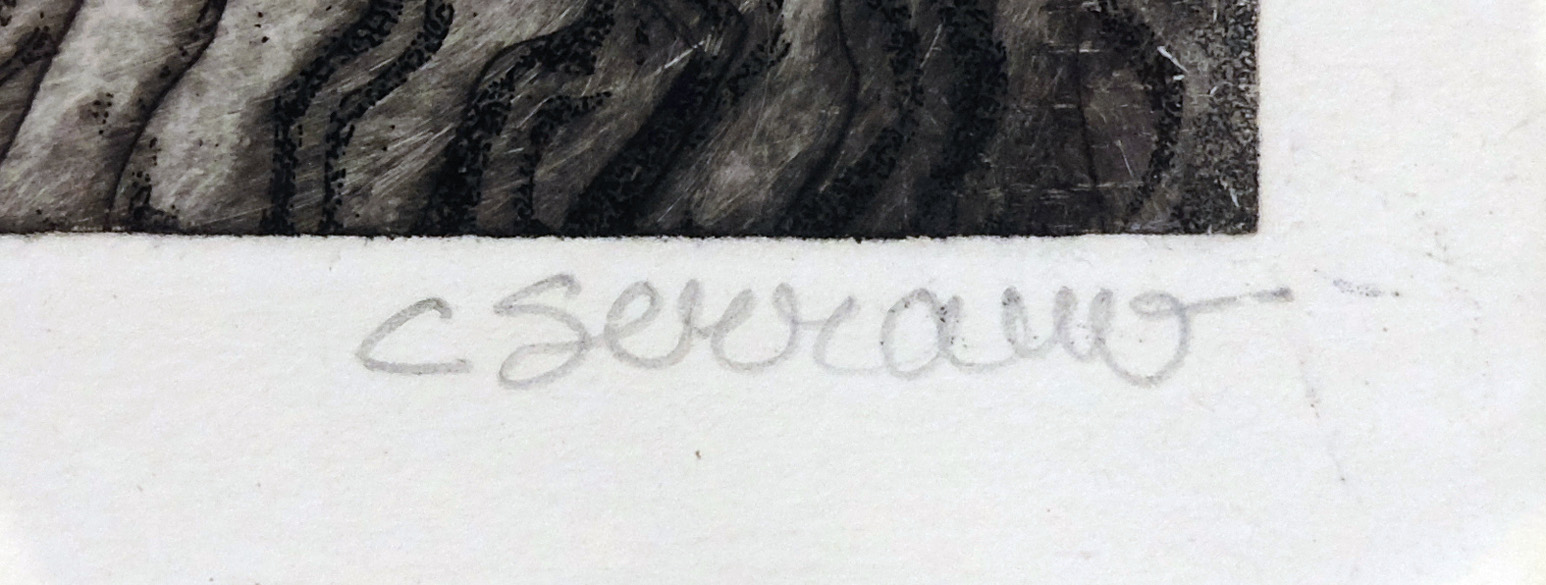 Accueil