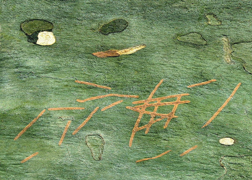 Accueil