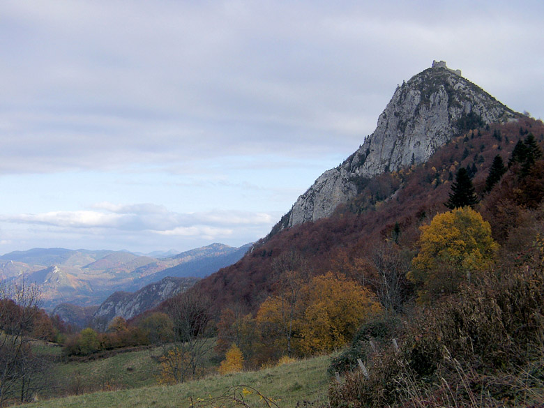 Accueil