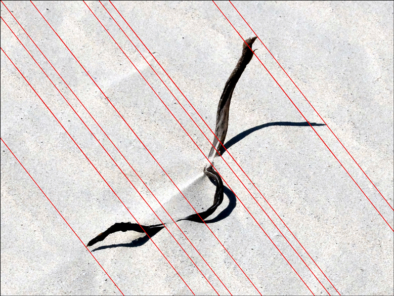 Accueil