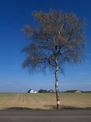 2013-04-24-037a