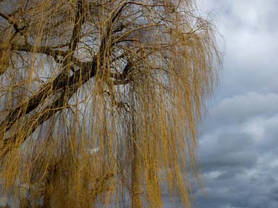 2014-02-09-028a