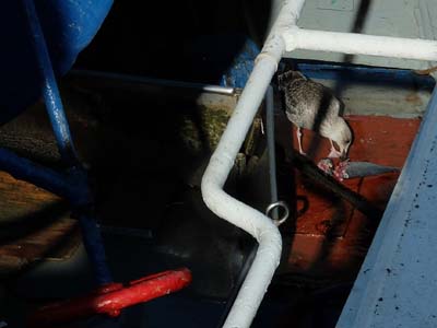 2014-09-05-139a