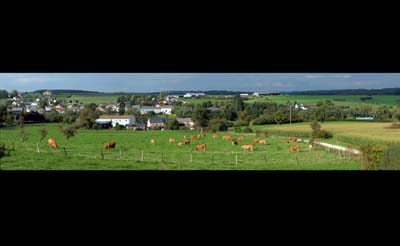 2014-09-15-419-pan