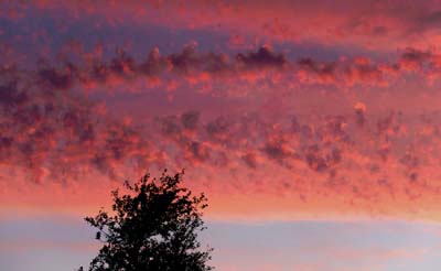 2015-07-10-007