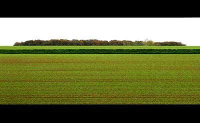 2015-10-21-016ad