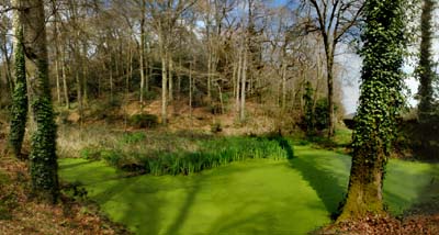 2018-04-08-147-pano2b