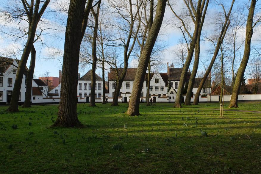 Accueil