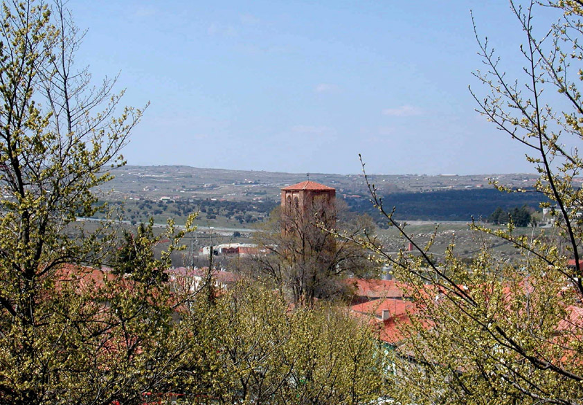 Accueil