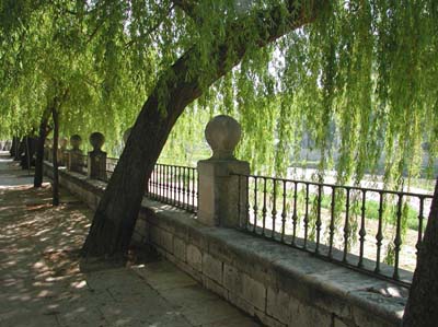 04-burgos-04