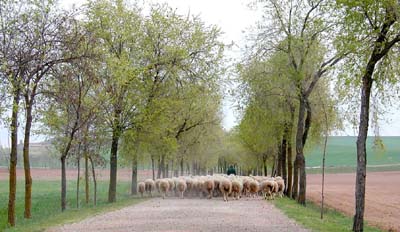 09-tordesillas-2-08