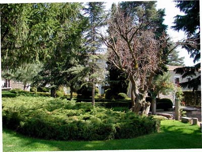 13-avila-1-11