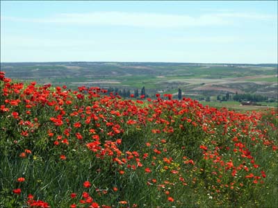 18-santo-dom.-de-silos-15