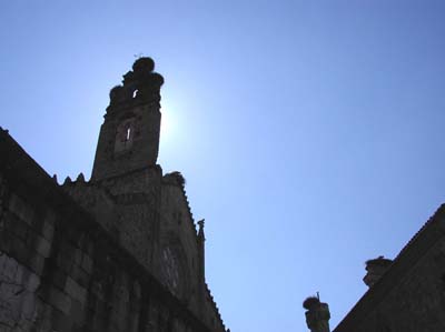 01-plasencia-1-16