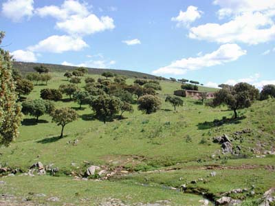 01-plasencia-3-02