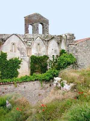 03-trujillo-1-05