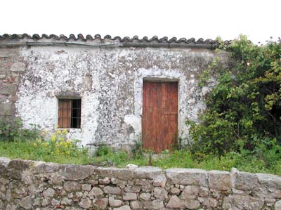 03-trujillo-1-06