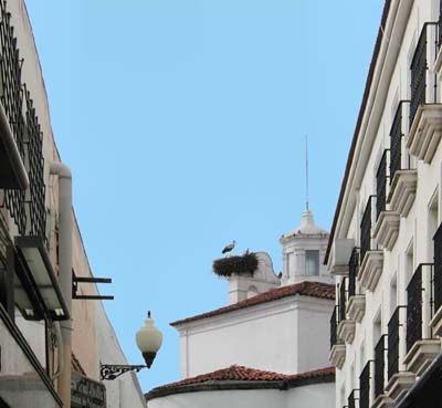 05-merida-10