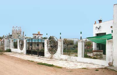 06-zaffra-2-07
