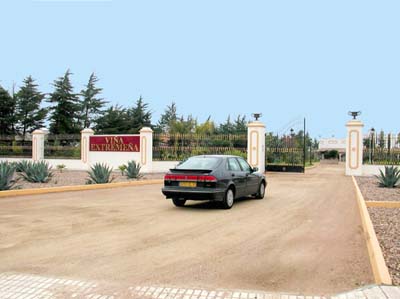 06-zaffra-3-01