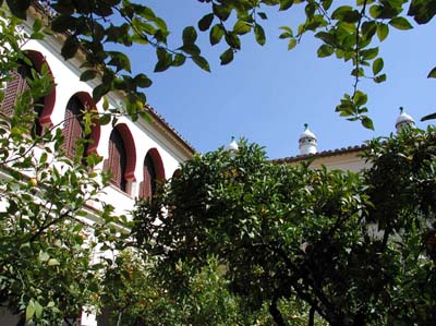 07-guadalupe-1-02