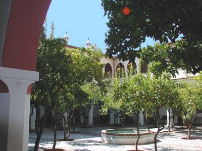 07-guadalupe-1-03