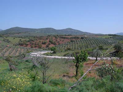 01-tolede-1-02