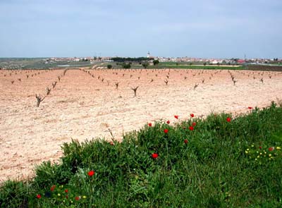 03-chinchon-1-02