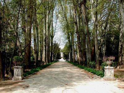 04-aranjuez-1-01