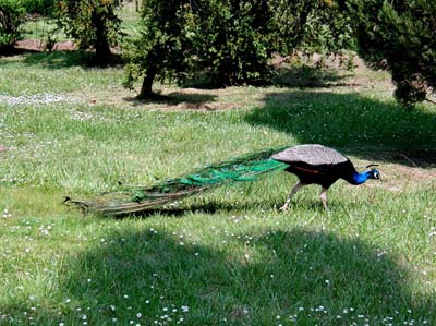 04-aranjuez-1-06