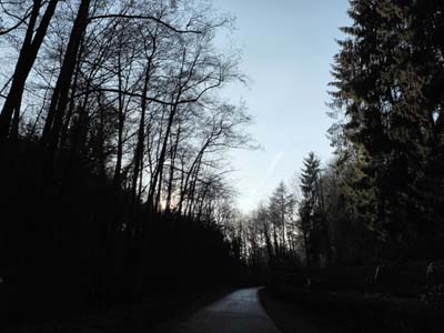 hamm-2019-02-18-287