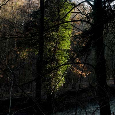 hamm-2019-02-18-303a