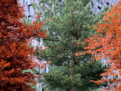 eur-2012-11-19-155a