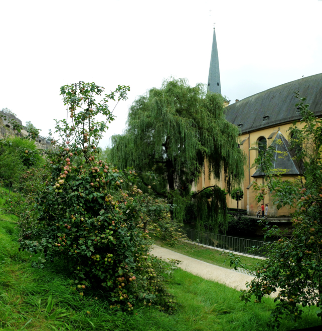 Accueil