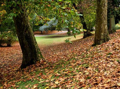 2008-10-14-113a