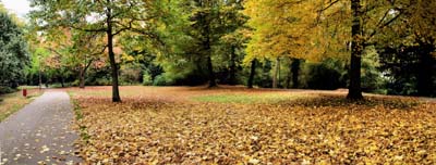 2008-10-14-134pano