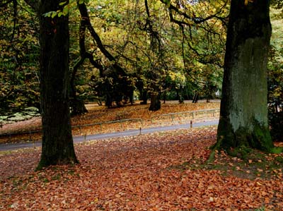 2008-10-14-138a