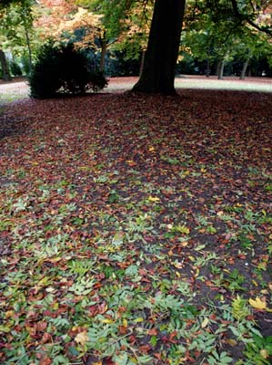 2008-10-14-200a