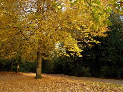 2008-10-21-025a