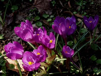 2009-03-19-273a