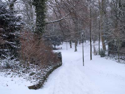 2010-02-16-124