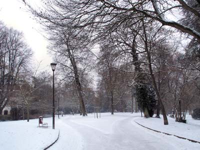 2010-02-16-216