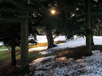 2010-02-16-608a