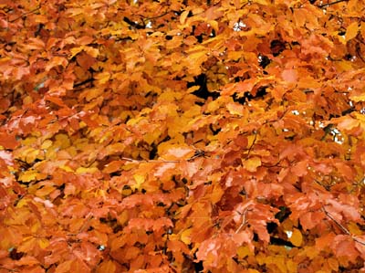 2012-11-19-157a