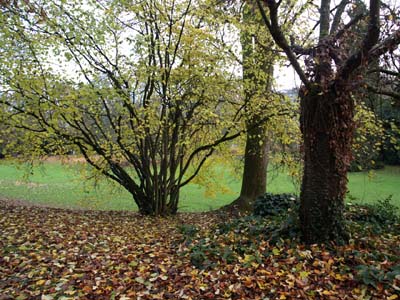 2012-11-19-172a