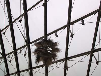 mud-2010-02-17-011a